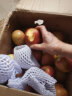 京鲜生甘肃静宁红富士苹果5kg 单果200-260g 水果 包装随机 晒单实拍图