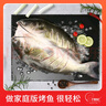 钓鱼记 斑点叉尾鮰鱼1斤-1.3斤 二去净重 冷冻 烤鱼红烧烤生鲜 鱼类海鲜 实拍图