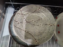 美浓烧（Mino Yaki） 日式朦胧早春雪花釉9.0英寸深盘鱼盘餐盘釉下彩家用餐具 23.0cm 早春-遥翠【*5.0cm】 实拍图
