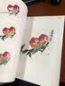 中国画国画入门技法教程技有所承画蔬果八所美术学院老师联合推荐从入门到提高的国画教程图解视频讲座临摹创作赏析蔬果绘画基础入门 实拍图