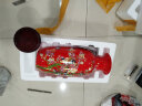 意凡 景德镇陶瓷器花瓶客厅摆件 插花器富贵竹 现代中式家居装饰品 青花牡丹花鸟鱼尾瓶 实拍图