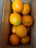 玫栀奉节甜脐橙 正宗重庆新鲜伦晚甜橙子口感胜过纽荷尔礼盒装 80mm(含)-85mm（不含） 10斤（彩箱礼盒装） 实拍图