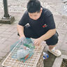 洁丽雅洞洞鞋女款2024新款夏季外穿沙滩凉鞋防滑防臭eva踩屎感包头拖鞋 白橙【新mm球6个】 36-37 【标准码】 实拍图