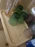 歺格 日式托盘长方形竹托盘家用杯盘放茶杯盘子茶盘托盘点心盘烧烤盘 长方形24*36*2cm 实拍图