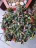 玖枝苑 杜鹃花苗 四季开花带花苞发货盆栽花卉 室内客厅阳台绿色植物盆景 西玛杜鹃 四年苗（带花苞） 实拍图