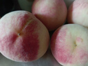 荣果正宗山东青州蜜桃脆桃春雪水蜜桃新鲜时令水果应季桃子小毛桃冬桃 4.5-5斤家庭装 实拍图