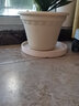 爱丽思（IRIS）花盆简约环保大花盆园艺花卉盆树脂波纹浮雕加厚花盆 6号浅米色1.6L 实拍图