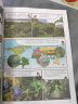 大英儿童漫画百科15·野外探秘鸟类王国（为孩子量身打造的知识博物馆）【6-14岁】 实拍图