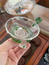 康韵（KANGYUN） 康韵 玻璃茶漏茶滤带过滤网茶水分离器功夫茶具配件茶道配件 青羊瑞祥玻璃茶漏 实拍图