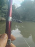 枫瀚（fenghan） 海竿套装抛竿海杆钓鱼竿套装组合全套海钓甩杆远投竿超硬特价抛竿超轻海杆渔具装备 买一套送一套 12轴6000轮套装2.7米2套 实拍图