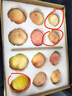格美滋正宗无锡水蜜桃礼盒装现摘新鲜水果时令特产桃子生鲜送礼 12个礼盒装【单果4-5两】 实拍图