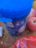 嘉宝（GERBER）米粉婴幼儿米糊地球高铁宝宝营养辅食250g（6-36月适用） 1段原味营养米粉 250g 实拍图