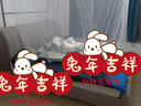 ddc意式极简真皮床小户型主卧1.8米1.5米现代简约家具双人实木皮艺床 床+8020床垫+1柜-亚盛1.8MM厚度头层牛皮 1.8米框架结构【颜色备注】 实拍图