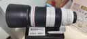 佳能（Canon）EF 100-400mm f/4.5-5.6L IS II USM 单反镜头 远摄变焦镜头 实拍图