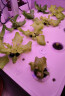 田间小径智能种菜机种植花盆水培植物室内无土育苗机家庭花卉补光花盆 土培智能种植机Z204米白 晒单实拍图