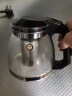 金熊 玻璃茶壶 耐热玻璃大容量花草茶壶 304不锈钢过滤内胆1.5LJT101 实拍图