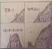 万物我画 植物 实拍图