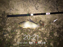 达摩 鱼竿杆新款钓鱼竿轻硬手竿鲤鱼竿碳素综合台钓竿攻 6.3m 攻 实拍图