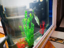欧宝 鱼缸水族箱客厅家用玻璃生态屏风吧台中型大型金鱼缸屏风欧式 欧式款（不带显示屏） 1.38米长 侧滤 晒单实拍图