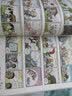 看漫画读经典全5册达尔文的物种起源 亚当斯密的国富论 卢梭的社会契约论 柏拉图的理想国  实拍图