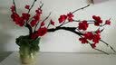 达之礼（DAZHILI） 仿真梅花枝 腊梅 桃花发泡干支 中式婚庆居家装饰场景布置假梅花 发泡梅花90cm-红色 1枝的价格 实拍图