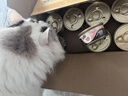希宝猫罐头猫主食罐头鸡肉牛肝配方进口成猫宠物慕斯罐 70g*24罐 实拍图