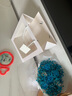 蔓缀 情人节送闺蜜女朋友满天星干花玫瑰花花束礼袋成品手捧花生日礼物SN7234 蓝色满天星+6朵玫瑰+手提袋+灯串 实拍图