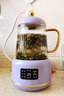 生活元素（LIFE ELEMENT） 迷你养生壶mini保温恒温加热多功能煮茶器电炖养生杯花茶壶 电炖养生杯 0.4L 紫色 实拍图