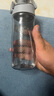 膳魔师（THERMOS）Tritan塑料水杯夏季男女运动瓶户外露营便携随行杯带提手茶杯TCSD 灰色530ml 实拍图