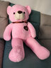 公主熊毛绒玩具泰迪熊公仔抱抱熊大号熊猫娃娃女孩生日礼物送女友情人节 粉红色 1米 实拍图