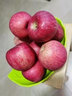 南步【顺丰直达】山西临汾吉县壶口苹果瀑布红富士苹果蜂蜜冰糖心水果 9斤 70mm(含)-75mm(不含) 实拍图