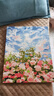 QUEENJOYdiy数字油画玫瑰手工填色油彩画治愈手工简约花卉客厅装饰画挂画 山茶花01 【绷好内框+画笔颜料】 40cm*50cm 实拍图