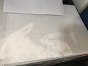 力武力武A4透明不干胶打印纸 哑银PP合成纸 PET撕不烂 UV涂层防水刮不掉喷墨激光打印 【透明度80%】A4 透明不干胶 50张（喷墨打印 实拍图