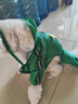 CHU XING JIA 狗狗雨衣全包卡通防水四脚幼犬秋冬宠物衣服泰迪透明雨衣宠物 绿色恐龙M（胸围47cm背长33cm） 实拍图