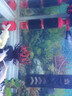 NY水族鱼缸三合一过滤器内置水妖精鱼粪便收集器分离器循环泵反气举鱼马桶 N612-多功能过滤桶-连接电源 15-35W 静音潜水泵 实拍图