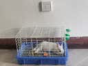 威毕兔笼兔子笼子防溅防喷尿荷兰猪用品特大号专用花枝鼠室内宠物别墅 粉色中号【单笼】不含其他配件 实拍图