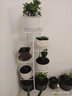蜗家（WOJIA）花架户外客厅阳台家用装饰架简约花盆架多肉架庭院花架绿萝架层架 白色【6层可放7盆】 实拍图