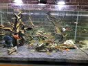 博特博特过滤棉鱼缸生化毯水族箱干湿分离魔术袋加厚羊绒棉高密度 羊绒棉100CM*40CM 实拍图