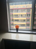 晶蕊世家天然黄色方解石球摆件黄色水晶球摆件原石打磨水晶球摆件冰洲石球 精选直径16厘米 实拍图