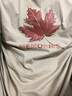 真维斯纯棉短袖男夏季潮牌休闲百搭T恤衫青少年学生胖子半袖宽松上衣服 卡其(回忆枫中标) XL /180(体重140-160斤左右) 实拍图