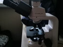 麦克奥迪（Motic） MOTIC专业级生物显微镜无限远双目科研实验养殖真菌细菌细胞观察 Stellar 1 Pro三目 晒单实拍图