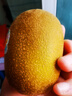 佳沛（zespri）新西兰阳光金奇异果原箱 16粒巨无霸 单果重约202-230g   猕猴桃 实拍图