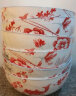 昭乐 碗年年有鱼青花瓷中式家用餐具高脚大汤碗饭碗套餐圆碗釉中彩 红鱼 4.5寸米饭碗（10个装） 实拍图