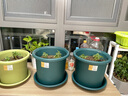 爱丽思（IRIS）花盆托彩色Deepot圆型盆栽花盆托加厚接水盘树脂塑料托盘花盆托 10号深绿色【搭配9号花盆】 实拍图