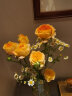 墨斗鱼 琥珀玻璃花瓶1816北欧田园家居摆件现代简约插花花器餐厅博古架卧室装饰瓶 实拍图