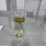 束氏 水杯玻璃杯绿茶杯泡茶杯花茶杯高硼硅双层防烫玻璃杯描金款280ml 实拍图