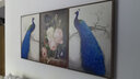 MONADIY客厅装饰画沙发背景墙三联画现代简约山水风景壁画卧室餐厅挂画 03 孔雀之恋（三幅组合） 原木纹框 50*70cm PS框+油布 实拍图