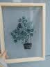 起贝 透明画树叶装饰画玄关客厅挂画北欧小清新绿叶植物装饰画餐厅 光明·镜面草 实木色33x43厘米(2.5厘米厚) 实拍图
