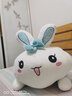 红运来小兔子毛绒玩具公仔玩偶布娃娃睡觉抱枕七夕情人节送女友老婆礼物 蓝色开心每一天 1.3米（+小兔子） 实拍图