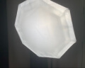 金贝（JINBEI） 球形柔光罩便携柔光箱360度光线柔和无影灯罩摄影视频直播全方位柔光球摄影灯器材 65cm球形柔光罩 晒单实拍图